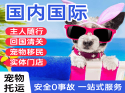 大武机场空运国际宠物托运 【国